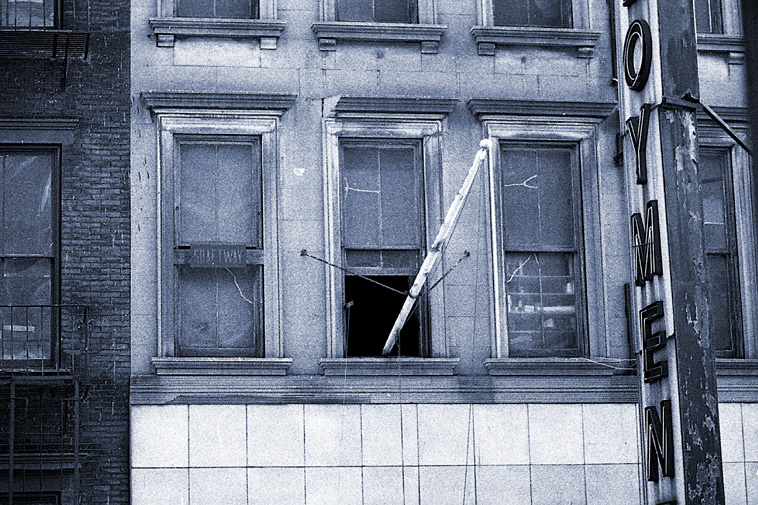 The cat's window on Warren Street