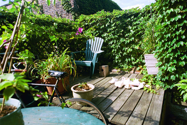 291 Patio Roof Garden
