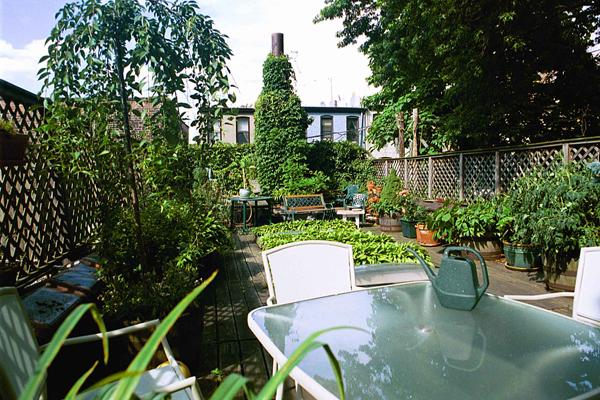 291 Patio Roof Garden