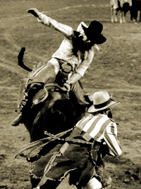 Clown deflects bull