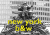 ny b&w link
