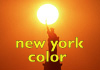ny color link