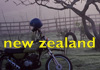 nz link
