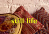 still life link