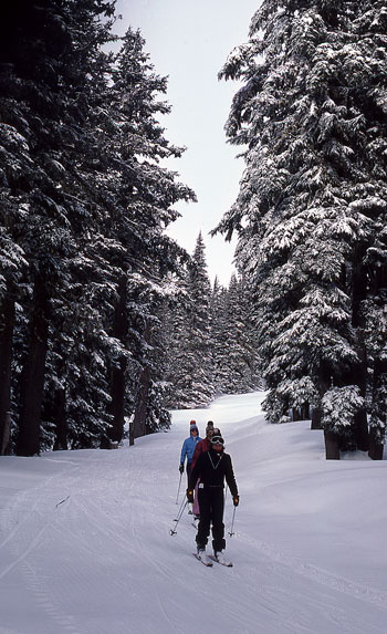 Skiing on Mt Hood
