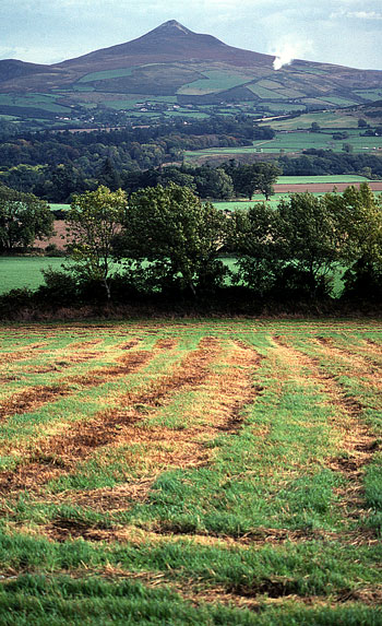 Mt Wicklow, Ireland