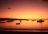 Anguilla dawn link