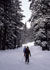 Mt Hood link