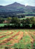 Mt Wicklow, Ireland link