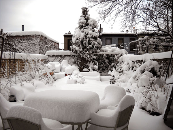 Heavy snow on Brooklyn