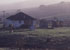 Mune's farm link