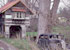 Tree house with car link