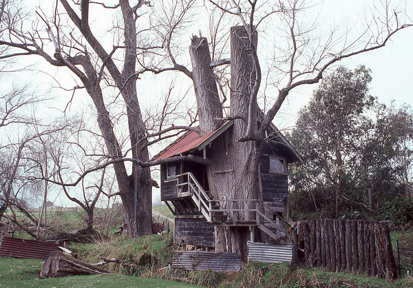 Tree house